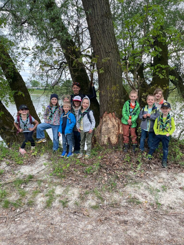 Auf Biberspuren Suche an der Donau